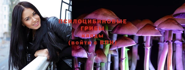хмурый Новозыбков