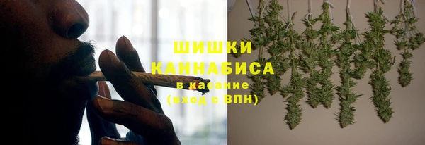 хмурый Новозыбков
