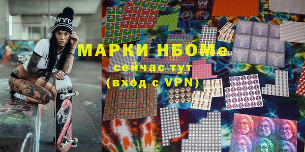 хмурый Новозыбков