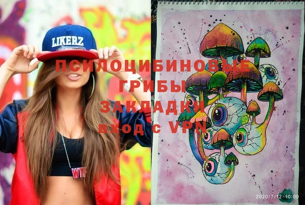 хмурый Новозыбков