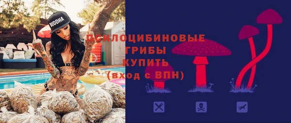 хмурый Новозыбков