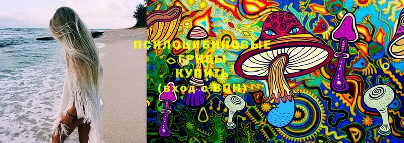 Псилоцибиновые грибы Magic Shrooms  blacksprut зеркало  Сортавала  купить наркоту 